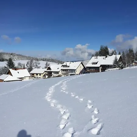 Natur Pur Im Hochschwarzwald *