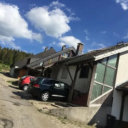 Natur Pur Im Hochschwarzwald