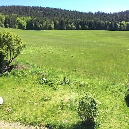 Natur Pur Im Hochschwarzwald Herrenschwand