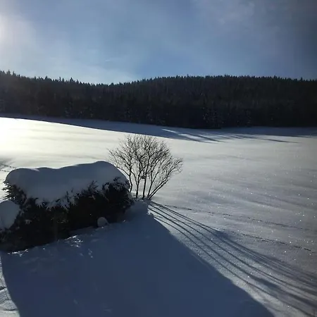 Natur Pur Im Hochschwarzwald *