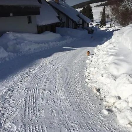 Apartmán Natur Pur Im Hochschwarzwald Herrenschwand
